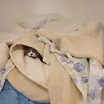Apartmán Il Cerro *