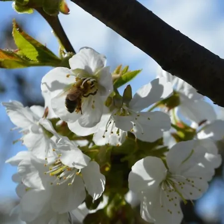 Διαμέρισμα Il Cerro Marzabotto
