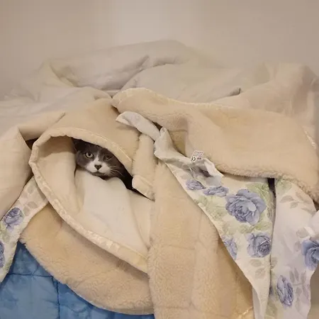 Διαμέρισμα Il Cerro *